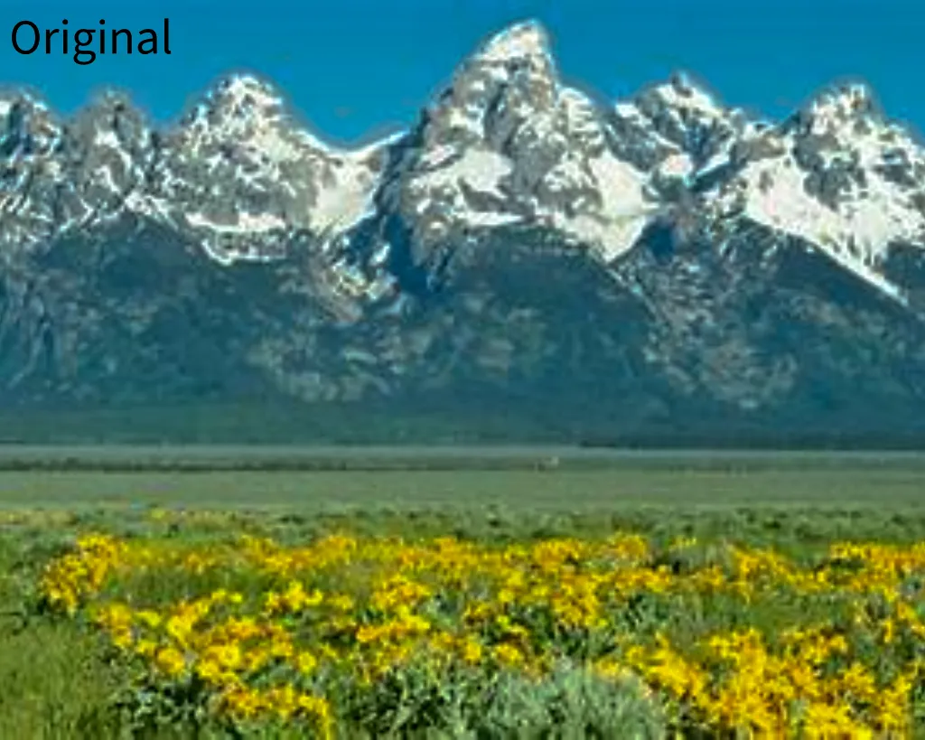 Tetons O,W,AO-1.webp