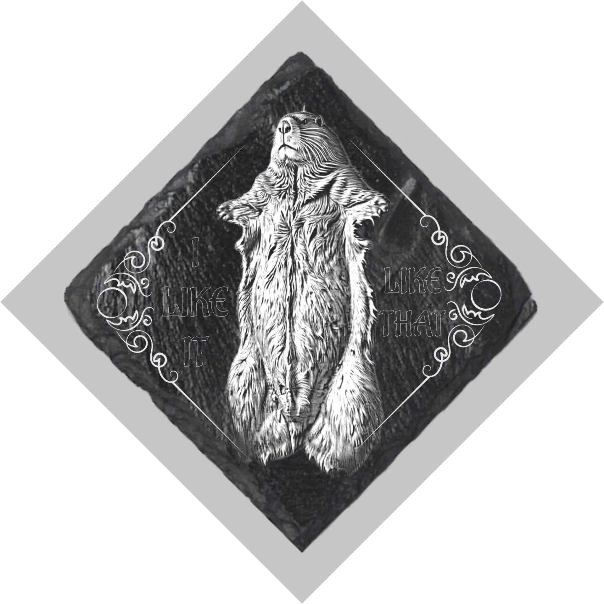 Trashy Old Pelt Coaster Set